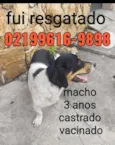 Zé