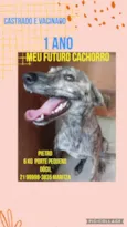 Zé