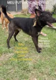 Zé