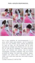 Zé
