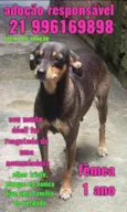 Zé