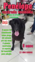 Zé