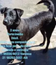 Zé