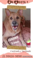 Zé