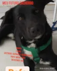 Zé