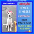 Zé