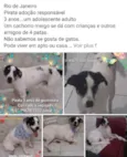 Zé