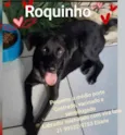 Zé