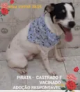 Zé