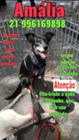 Zé