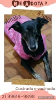 Zé