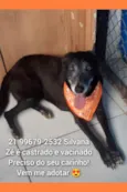 Zé
