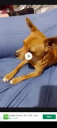 Bob