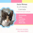 Esmeralda