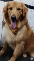 Duk