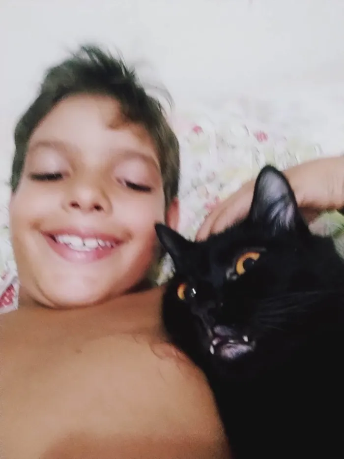 Gato ra a Mista idade 1 ano nome Nininho 