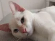 Ragnar