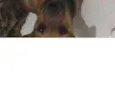 Sem nome