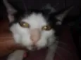 Carinhosa e medrosa