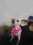 Clara