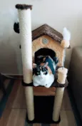 Luíza 