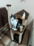 Luíza 