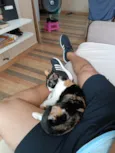 Luíza 