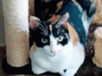 Luíza 