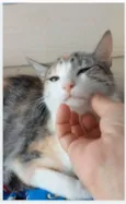PENÉLOPE