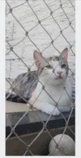 PENÉLOPE
