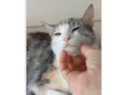 PENÉLOPE