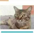 JULLY