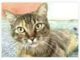 JULLY