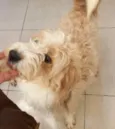 Mel