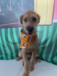 Bob