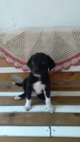 LÉO