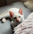 Ragnar