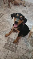 Gaspar