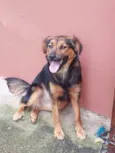 Catarina