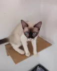 Mag