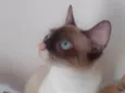 Mag