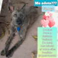 Fumaça 