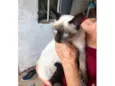 Dilma