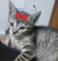 Susan