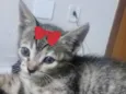 Susan