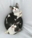 Sam & Don