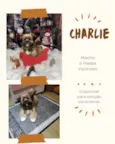 Charlie