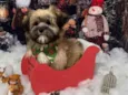Charlie
