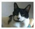 FILÓ