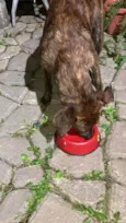 Billy